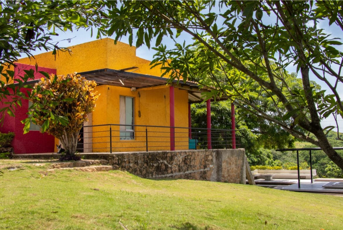 Toma lateral con vista a la vegetación