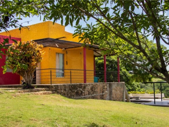 Toma lateral con vista a la vegetación